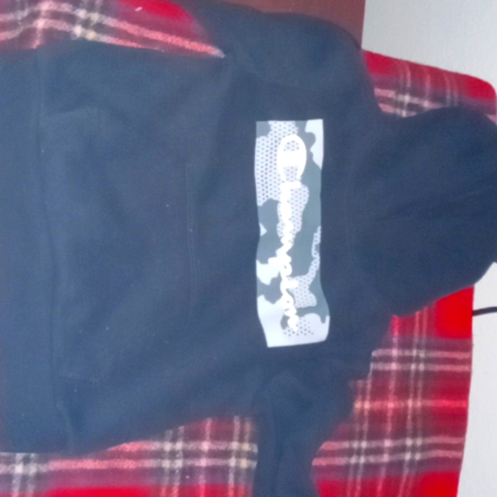 Sweatshirt size 2T champion
